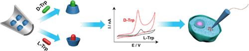 Quantification of Tryptophan Enantiomers in a Single Cell by β-Cyclodextrin-Modified Carbon Nanopipettes