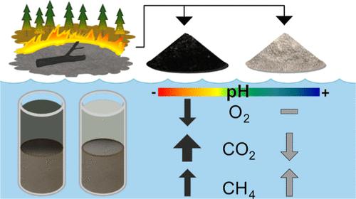 Black and White Fire Ash Alters Greenhouse Gas Emissions and Temporarily Reverses Carbon Source-Sink Status in Aquatic Mesocosms