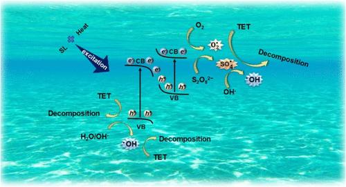Construction of Ag2WO4/CuBi2O4 S-Scheme Heterojunctions with Enhanced Sonocatalytic Performance for the Removal of Tetracycline: Characterization, Sonocatalytic Mechanism, and Degradation Pathways