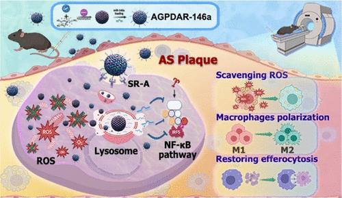 Inflammatory Macrophage-Targeted Atherosclerosis Treatment by miRNA-Delivered, MRI-Visible, and Anti-Inflammatory Nanomedicine