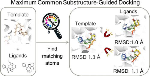 Template-Based Docking Using Automated Maximum Common Substructure Identification with EnzyDock: Mechanistic and Inhibitor Docking