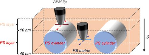 Anisotropic Subsurface Inter- and Intramolecular Properties of Heterogeneous Polymers Revealed by Torsional Force Spectroscopy