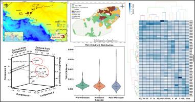 Weathering in the subsurface environment of the Gondwana deposits intensified by the cumulative impacts of mining and agriculture practices