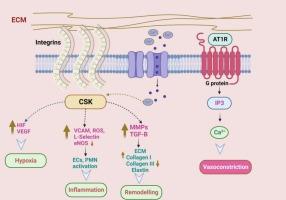 Molecular and genetic insights into varicose veins