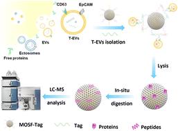 An orthogonal barcoding enabled smart nanodevice for highly efficient isolation and proteomic profiling of tumor-derived extracellular vesicles†