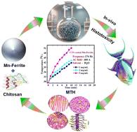 Polyol-assisted chitosan-coated MnFe2O4 nanoparticles: assessing magneto-hyperthermia efficacy and toxicological effects on Garra mcclellandi fish†