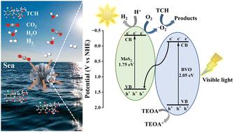 BiVO4/MoS2 n–n heterojunction for enhanced solar-driven seawater antibiotic degradation and photocatalytic hydrogen evolution†