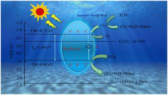 Investigation on the degradation mechanism of tetracycline hydrochloride by self-assembled Ni-doped MoS2 photocatalyst†