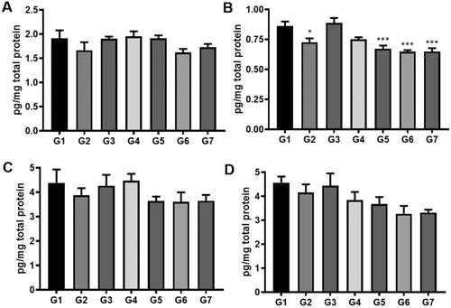 Evaluating the Therapeutic Potential of Superoxide Dismutase in a Rat Model of Wet Age-Related Macular Degeneration