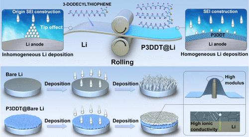 Stable Lithium Anodes Enabled by the Hardening and High Li+ Flux Interlayer