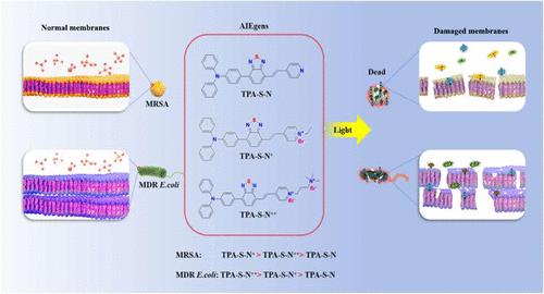 Effect of Extended π-Bridges and Molecular Charge on the Photodynamic Activity of Aggregation-Induced Emission Photosensitizers against Multidrug-Resistant Bacteria