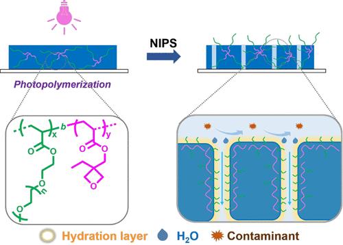 Antifouling Ultrafiltration Membranes with Enhanced Stability and Hydrophilicity by Self-assembly and Cross-linking of Block Copolymer Additives