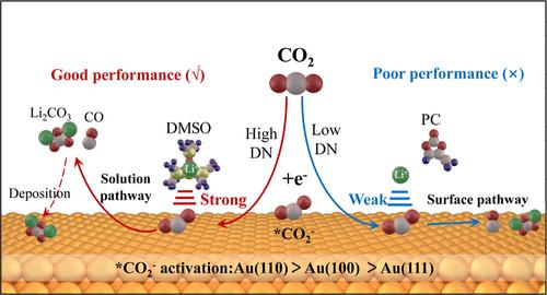 Unveiling the Solvation Chemistry and Surface Effects on CO2 Reduction Reaction Pathways in Nonaqueous Li–CO2 Batteries