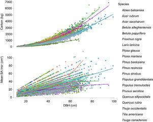 Allometric equations quantify accelerated growth and carbon fixation in trees of northeastern north America