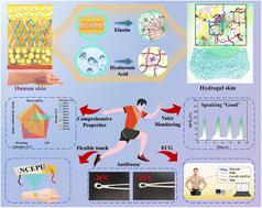 A mechanically robust, highly sensitive, resilient, and degradable dual physically cross-linked hydrogel for heart rate health detection†