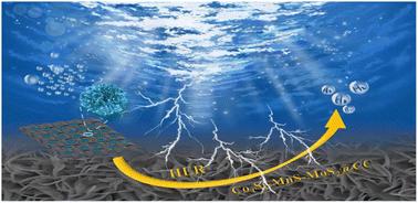 High-performance Co4S3-MnS-MoS2@CC catalysts for the hydrogen evolution reaction†