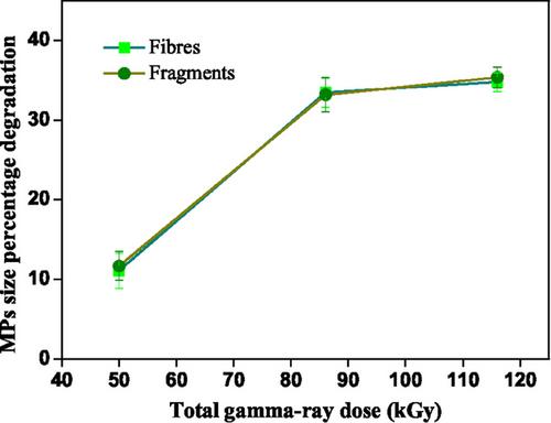 A Ray of Hope: Gamma Radiation for Microplastic Remediation