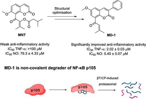 Discovery of an NF-κB1 p105 Degrader for Anti-Inflammatory Therapy via Structural Optimization of the Coumarin Natural Product Minutuminolate