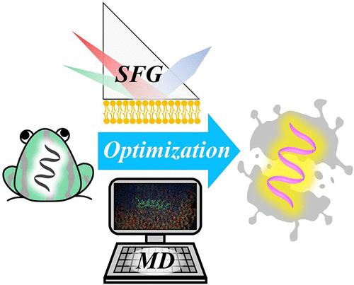 Molecular-Level Strategy from Bottom-Up to Acquire High-Efficiency Antimicrobial Peptides