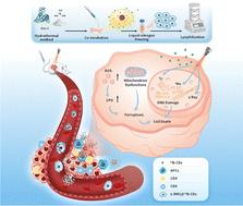 Lyophilized tumour cell-loaded 10B-doped carbon dots for simultaneous boron neutron capture therapy and enhancement of antitumor immunity of prostate cancer†