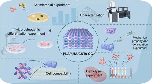 Preparation and Evaluation of Digital 3D-Printed PLA/nHA/CNTs-CG Composite Bone Tissue-Engineering Scaffold for Enhanced Osteogenic and Antibacterial Properties