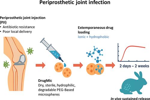Degradable Hydrophilic Poly(ethylene glycol) Microspheres for the Sustained Delivery of Peptide-Based Antibiotics for Local Anti-infective Therapies
