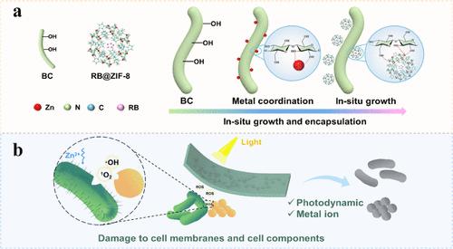 Unlockable Nanocaged Photodynamic Nanofiber Membranes for pH-Responsive Antibacterial Therapy via Rose Bengal Encapsulation in ZIF-8