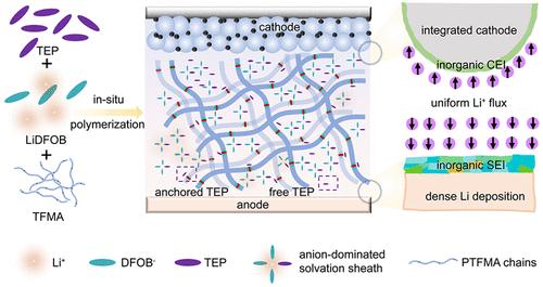 Polar-Polymer-Enabled Solvent Anchoring Effect Retunes Anion-Dominated Solvation Sheath in Gel Electrolyte