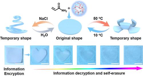 Poly(N-Isopropylacrylamide) Microgel Containing Hydrogel Enables Cooling/Water Induced Shape Recovery and Transient Image Display