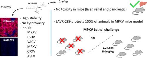 Antiviral Activity of the Acyclic Nucleoside Phosphonate Prodrug LAVR-289 against Poxviruses and African Swine Fever Virus