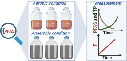 Bird’s-Eye View: Current Understanding and Future Perspectives on the Biodefluorination of Per- and Polyfluoroalkyl Substances (PFAS)