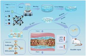 Piezoelectric composites with BaTiO3 NPs as guiding membranes: reconstructing the bioelectric microenvironment for enhanced bone regeneration†