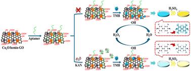 A Cu2O/hemin-GO nanozyme with aptamer-enhanced peroxidase-mimic activity for colorimetric detection of kanamycin in milk†