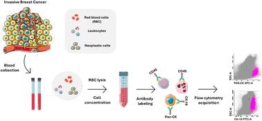 Bulk-lysis protocols as a sensitive method for investigation of circulating CK19 cells in the peripheral blood of patients with breast cancer by flow cytometry†