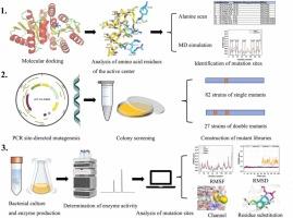 Mutational and structural analysis of ribose 5-phosphate isomerase B from Acetivibrio thermocellus: relationship between transformation efficiency and substrate binding pocket conformation
