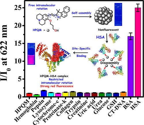 Selective Sensing of Human Serum Albumin by a D···π···A-Based Self-Assembled Nanoprobe via a Disassembly Mechanism: Quantification and Live Cell Imaging Applications