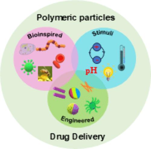 Polymer-Based Designer Particles as Drug Carriers: Strategies to Construct and Modify