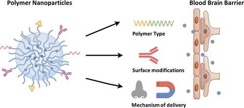 Advancements in Using Polymeric Nanoparticles for Blood–Brain Barrier Penetration in Neurological Disorders