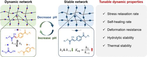 Knoevenagel Condensation Reaction-Empowered Hydrogels with pH-Tunable Dynamic Properties