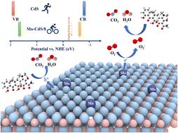 Mo-doped CdS: optimized electronic structure boosts carrier separation†