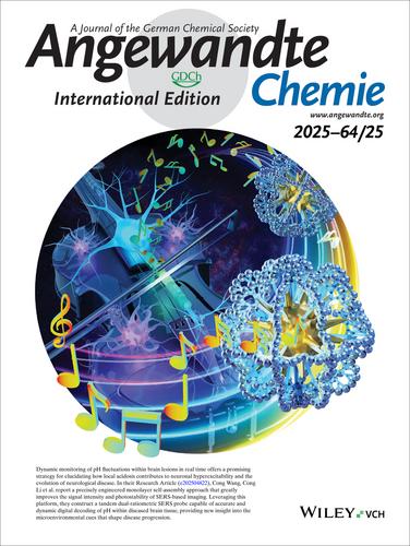 Outside Back Cover: Tandem Dual-Ratiometric SERS Probe Enables Raman Imaging of Neurological pH Fluctuations in Epilepsy (Angew. Chem. Int. Ed. 25/2025)