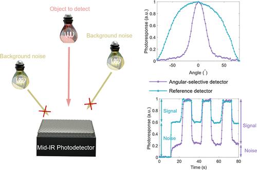 A Broadband Angular-Selective Midinfrared Photodetector