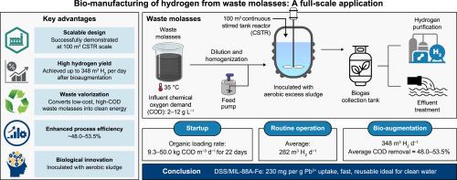 Biomanufacturing of hydrogen from waste molasses: A full-scale application