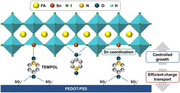 Radical scavenger-driven oxidation prevention and structural stabilization for efficient and stable tin-based perovskite solar cells†