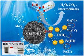 Efficient degradation of tetracycline hydrochloride by activation of peroxomonosulfate on a magnetic steel slag/MoS2 composite via ball milling†