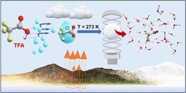 Probing the freezing chemistry of singly levitated aqueous trifluoroacetic acid droplets in a cryogenically cooled simulation chamber relevant to Earth's upper troposphere†
