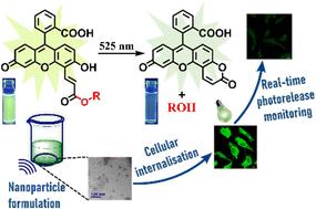 Green-light responsive fluorescein-based photoremovable protecting group: nanoparticle formulation for controlled release of bioactive molecules with real-time-monitoring ability†