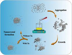 Mechanistic insights on sulfur functionalization of Ag nanoflowers†