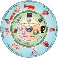 Recent progress of carbon dots in the theranostics of cardiovascular and cerebrovascular diseases