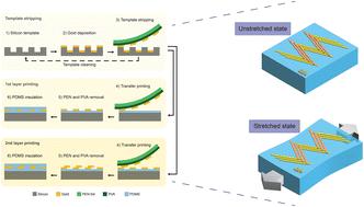 A multilayer template stripping transfer printing method for engineered stretchable electronics†